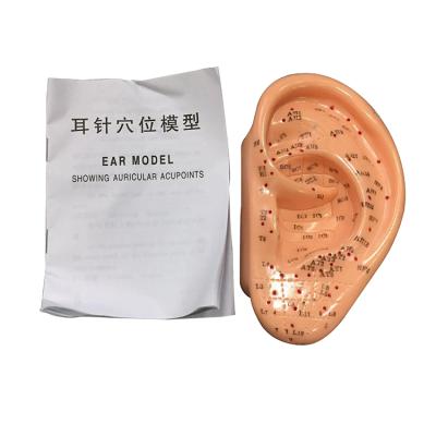 China Hot Sale Acupuncture Model 13cm Ear Acupuncture Model Soft Flexible Model Human Ear Eco-friendly Watch For Acupuncture for sale