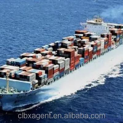 China professional shipping agent ddp service low commission 1688 and taobao agent and offer shipping service sea transportation for sale