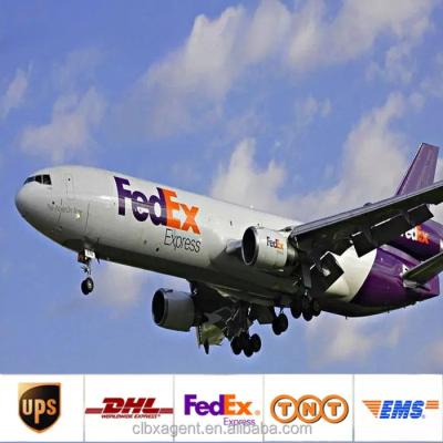 China China Shipping Agent Cheap DHL TNT FEDEX UPS Courier Express Freight Rates to USA Amazon transit SWEET time GUA Express for sale