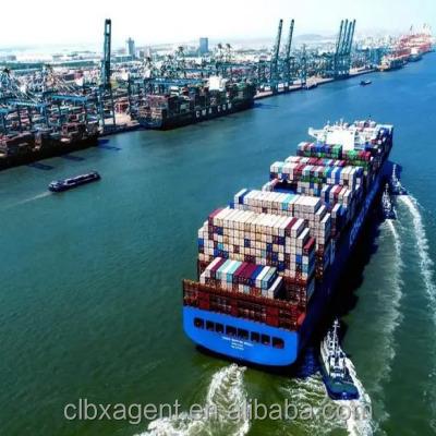 China China Shipping Agent Professional Sea Freight To Germany DDP Cheapest Rate Shipping Cargo Service China To Germany Sea Transport for sale