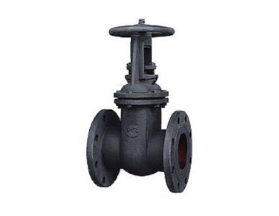 China The Best General Hot Sale Cast Iron Russian Standard Gate Valve With Prices for sale