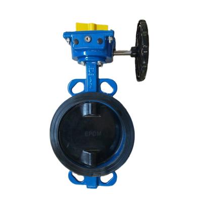 China High Sales Good Quality General Worm Gear Pinless Butterfly Valve for sale