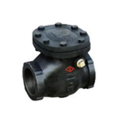 China New Arrival General Pneumatic American Standard Wire Loop Check Valve for sale