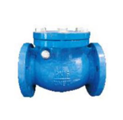 China General Wholesale High Quality General Din Iron Swing Check Valve for sale