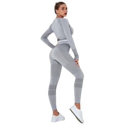 China Breathable Fitness Sets Gym Wear Quick Drying Active Knitting Sets Long Sleeve Seamless Yoga Sets for sale