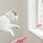 China Interactieve Lichte Opleidende het Hulpmiddellaserpointer van Cat Toys For Indoor Pet Te koop