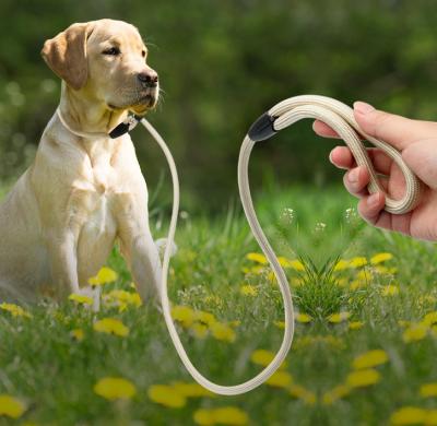 China Mountain Climbing Nylon Rope Dog Lead For Training Medium Large Dogs for sale