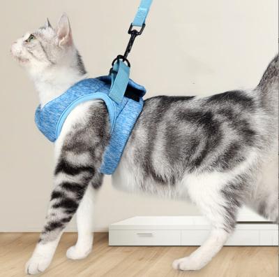 China Soft Reflective Adjustable Small Cat Harness And Lead For Walking Escape Proof Cat for sale