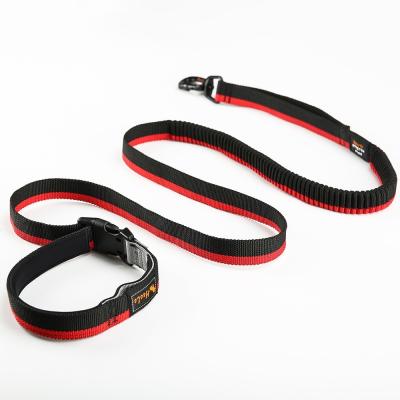 China Double Headed Nylon Pet Traction Rope Multifunctional Dog Running Walking Traction Belt for sale