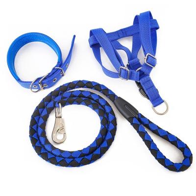 China Nylon Kabel Drie Stuk Vastgesteld Teddy Gold Hair Chest Strap van de Huisdierentractie Te koop