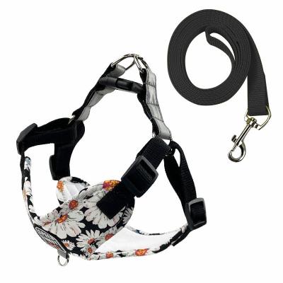 China Reflective Breathable Dog Traction Rope Walking Dog Printed Dog Rope Large And Medium-Sized Wholesale Pet Chest Strap for sale