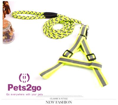 Chine Le collier de choc de chien d'animal familier formant des chiots usine la courbe d'apprentissage de concepts de base à vendre