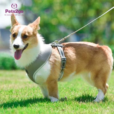 China Lightweight Best Dog Harness For Puppies Cute Puppy Harness Dog Harness For Hiking for sale