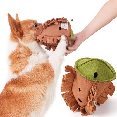 China Pet Nut Plush Sniffing Gnawing Molar Toys Self Hi Interactive Dog Missing Food Educational Toys for sale