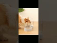 Anti Overturning Double Cat Water Bowl Automatic Water Storage For Protecting Cervical Spine