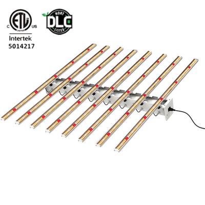 China Seed Starting LM301b/LM301h LED Strip lm301b Oslon 2.8umol/S 2240umol/J 800w IP65 Waterproof LED Grow Light for sale