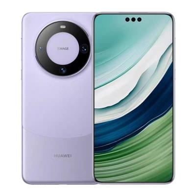 Κίνα Huawei Mate 60 PRO 12GB 512GB Harmonyos 4.0 50MP Advanced Screen Size 6.1 προς πώληση