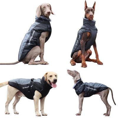 China Sustainable Winter Dog Outdoor Jacket Waterproof Windproof With Leash for sale