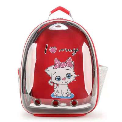 China Viable Outdoor Pet Carrier Transparent Pet Travel Bag Cat Carrier for sale