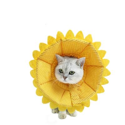 China Headgear Viable Collar Sunflower Anti-licking Elizabeth Cat Circle Pet Accessories Supplies for sale