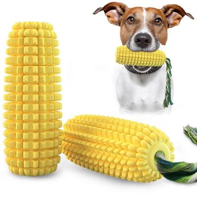 China Viable Corn-Shaped and Star-Shaped Squeaky Chew Toys Toothbrush Toys for sale