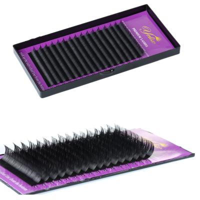 China Yelix Long Lashes False Eyelashes Natural Shiny Individual For Customer In Indonesia Japan for sale