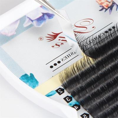 China Long Natural Wholesale Private Label Pandora Individual Easy Fan Eyelash Camellia Eyelashes Fake Extension by Yelix for sale