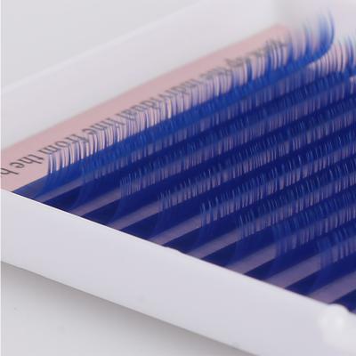 China Yelix 3d 0.07 C Long Natural Eyelash Extension No Gaps Connect Best Volume Lash Eyelash Extension Supplier Korea Blue for sale