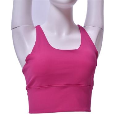 China New Arrival Breathable Plus Size Sports Women Sexy Yoga Bra for sale