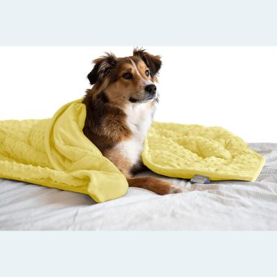 China Portable Improve Sleep Minky Premium Fabric Hypoallergenic Glass Beads Weighted Dog Blanket for sale