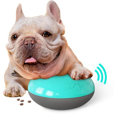 China Sustainable New Design Branded Dog Driver Talking Slow Dog Bowl for sale