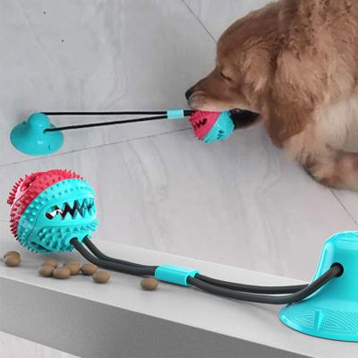 China Dog TPR Toy Suction Bite Ball Suction Cup Viable Molar Toy Molar Multifunctional Chew Rubber Chew for sale