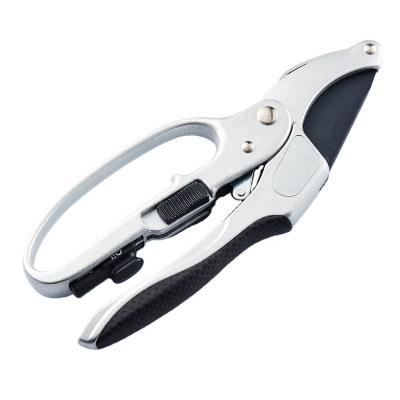 China Anti-Slip Handle Kwang Hsieh High Quality 4 in 1 Ratchet Garden Shears for sale