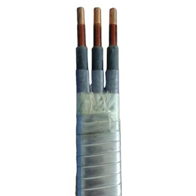 China ESP MLE EPDM underground insulated lead sheath galvanized steel armored power cable for submersible oil pump for sale