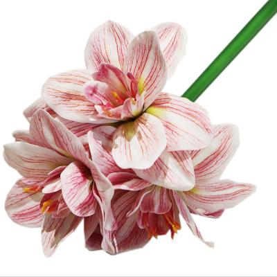 China 2021 Fashional Most Popular Gift/Decor Wholesale Handmade Real Touch High Quality Artificial Clivia Flowers for sale