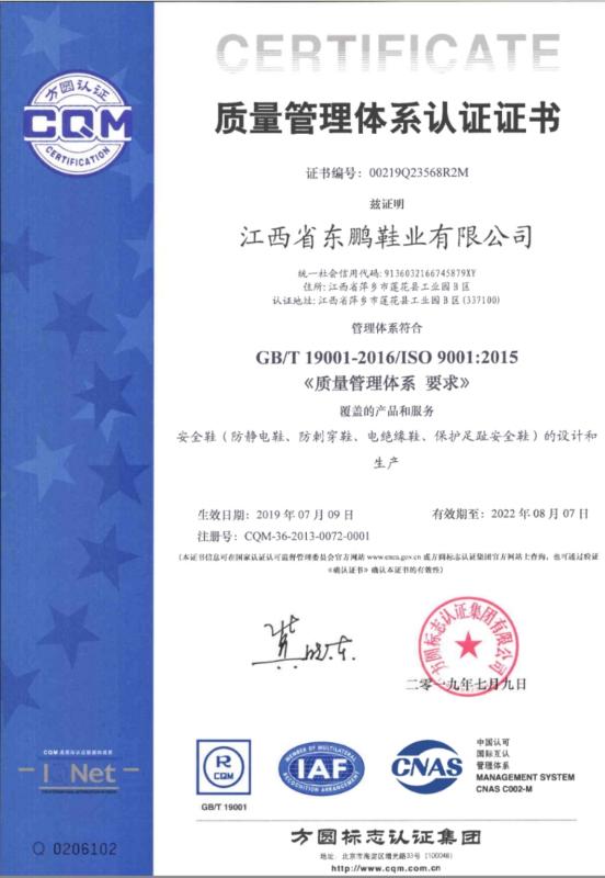 ISO9001 - Jiangxi Province Dongpeng Shoes Co., Ltd.