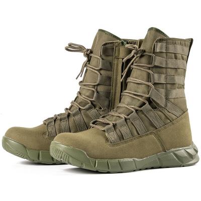 China Jungle Military Tactical Boots Combat Green New Arrival Military Training Brown Lightweight Boots for sale