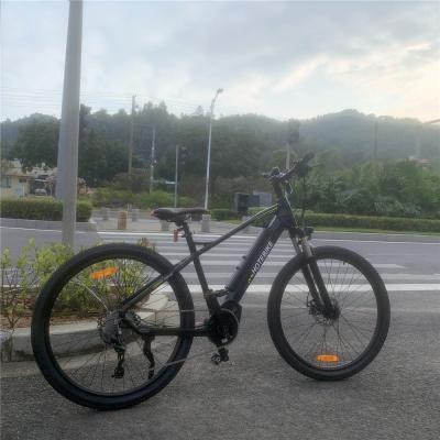 China Aluminum alloy 40-80km chain 21 speed ebike 1000w mid drive 750w electric bike mid drive mid drive for sale