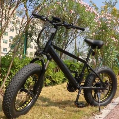 China Aluminum Alloy Strangth Fat Tire Motorcycle Mountain Bike 20 Inch 36v 250w For Europe for sale