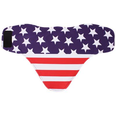 China Breathable Multifunctional Headdress Custom Printed Round Seamless Neck Gaiters Polyester Face American Flag Neckerchief Collar for sale