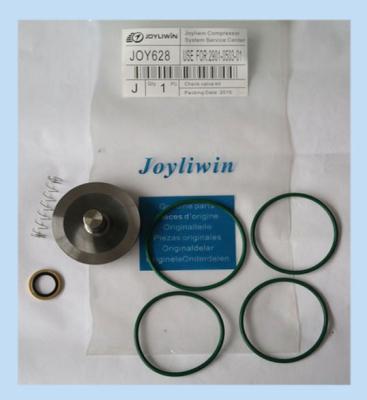 China Various Machinery Durability Styles Air Compressor Check Valve Kit for sale