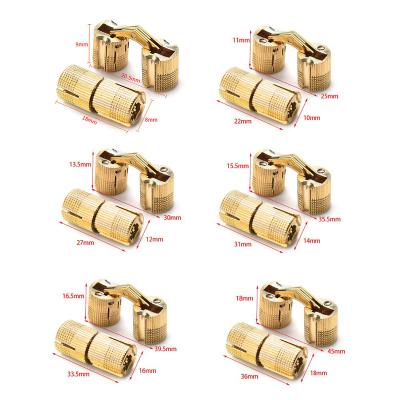 China New Design Modern Furniture Hardware Fit Small Barrel Hinge Brass Hidden Hinge for sale