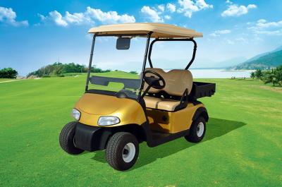 China New Design 2 Seats Electric Utility Golf Cart With Rear Plastic Cargo Box for sale