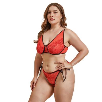 China Hot 100% Polyester Woman Custom Romantic Underwear Sex Picture Sexy Panties And Red Bra Plu Size Lingerie for sale