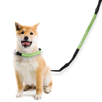 China Custom Safety Lights 2021 Usb Rechargeable Night Lighted Glowing Pet LED Dog Leash for sale