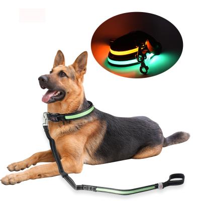 China Lights Waterproof Light Up Reflective Nylon Led Flashing Dog Leash Night Safety Dog Leash Glowing Reflective Nylon Leash for sale