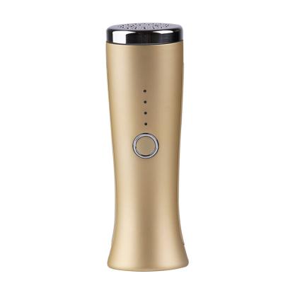 China Skin Tightening Home Use Handheld Anti Aging Red Light Heating Led Therapy Torch Skin Care Wrinkle Removal Beauty Device Face Massager for sale