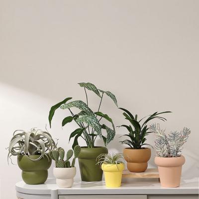 China Factory wholesale custom succulent pots garden decoration Europe color matte ceramic flower pots and planters for sale