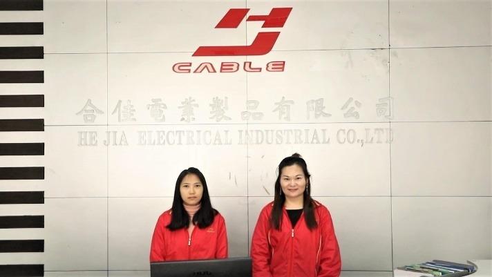 Verified China supplier - Zhongshan Hejia Electrical Industrial Co., Ltd