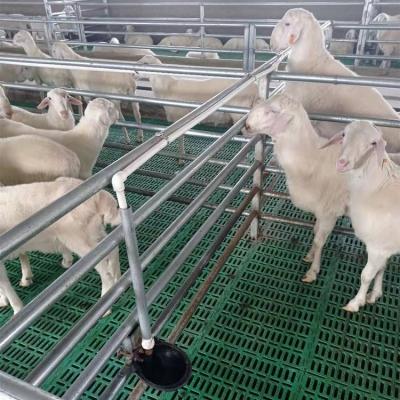 China Plastic Farms China Supplier Slat Flooring For Goat Farm Or Goat Shed Goat Slotted Slat Flooring for sale